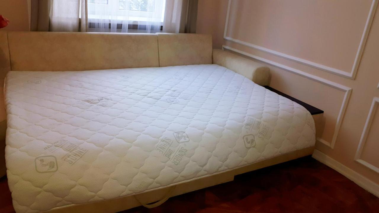 Apartment In The City Center İvano-Frankivsk Dış mekan fotoğraf