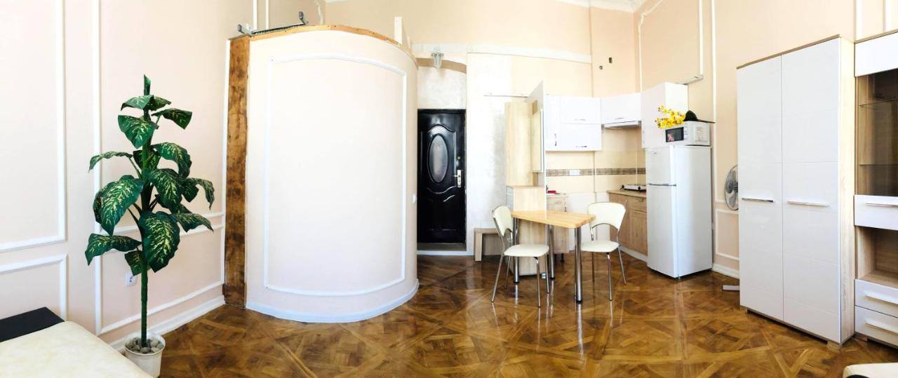 Apartment In The City Center İvano-Frankivsk Dış mekan fotoğraf