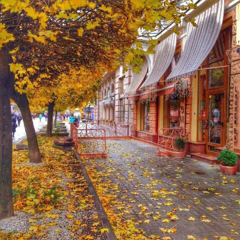 Apartment In The City Center İvano-Frankivsk Dış mekan fotoğraf